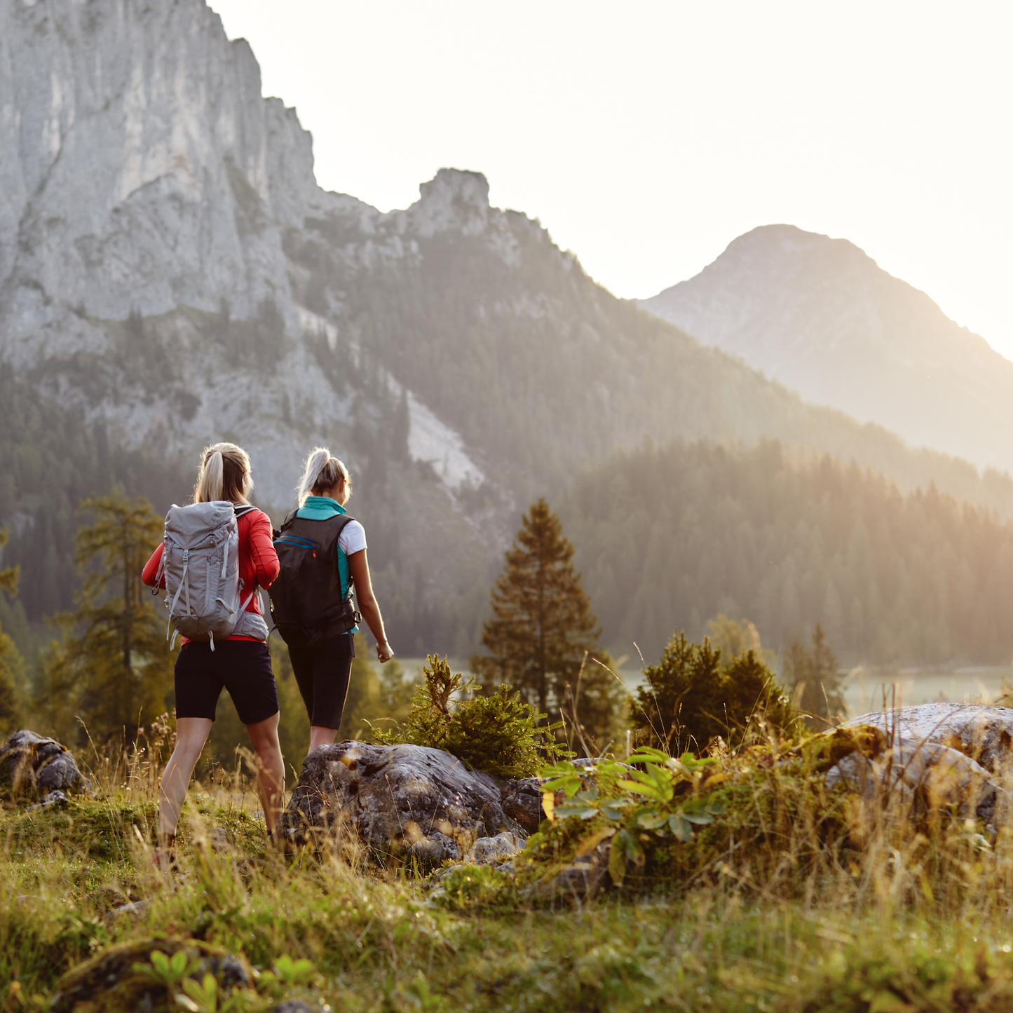 Relax & Wanderhotel Poppengut